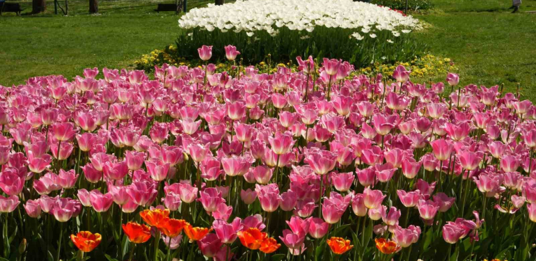 Bursa’nın parkları rengarenk