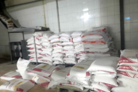 WhatsApp Image 2024-04-07 at 13.22.09