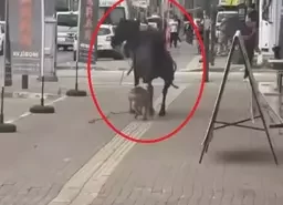 66e170c5021e6abba7c9463f