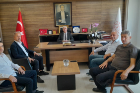 WhatsApp Image 2024-10-11 at 14.19.03