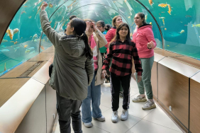 WhatsApp Image 2024-12-05 at 19.32.31