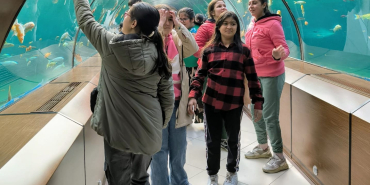 WhatsApp Image 2024-12-05 at 19.32.31