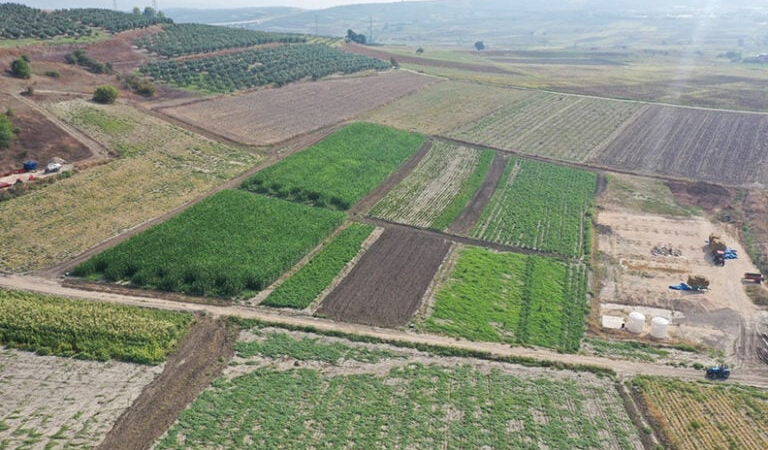 Tarım Nilüfer’de canlanıyor: Çiftçiye kooperatif desteği