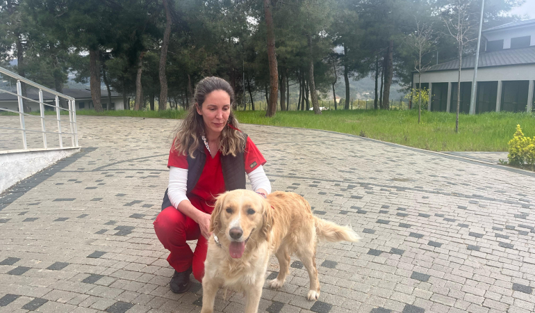 Büyükşehir, her zaman can dostların yanında