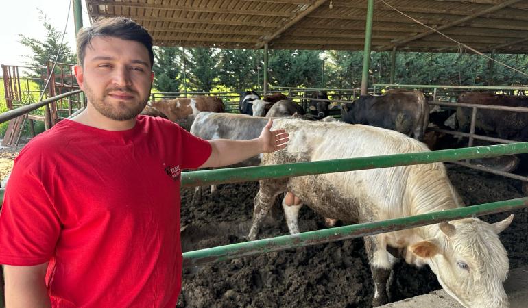 Kurbanlık fiyatlarında büyük bir değişiklik yok