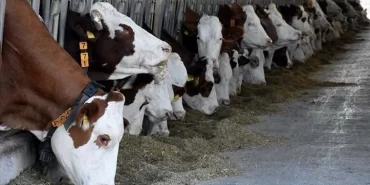 thumbs_b_c_35392ca5e13df0a395b7f184637a61b1-768x457