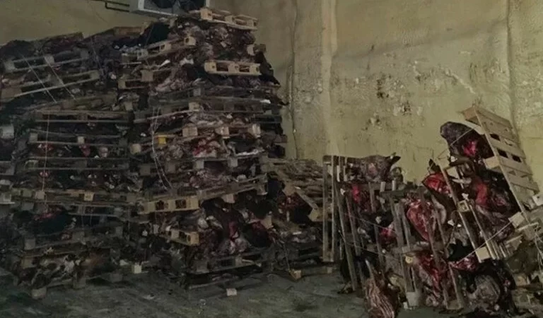 Bursa’da korkunç görüntü: Çok sayıda hayvan kafası bulundu