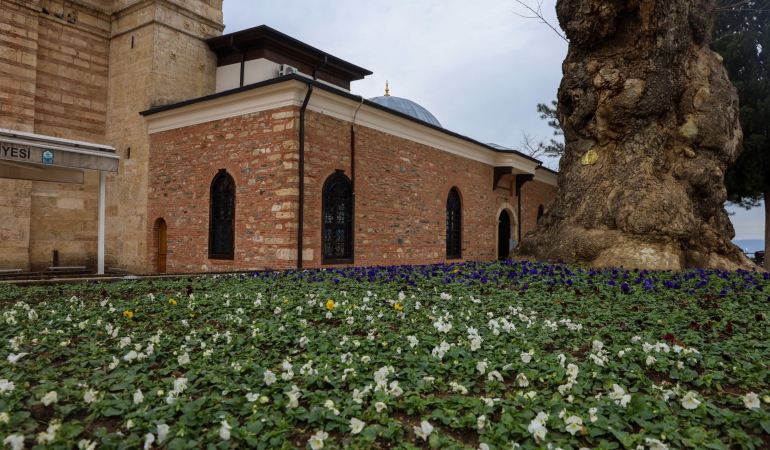 Bursa kışın da çiçek bahçesine dönüşüyor