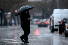 Whatsapp image 2026 02 12 at