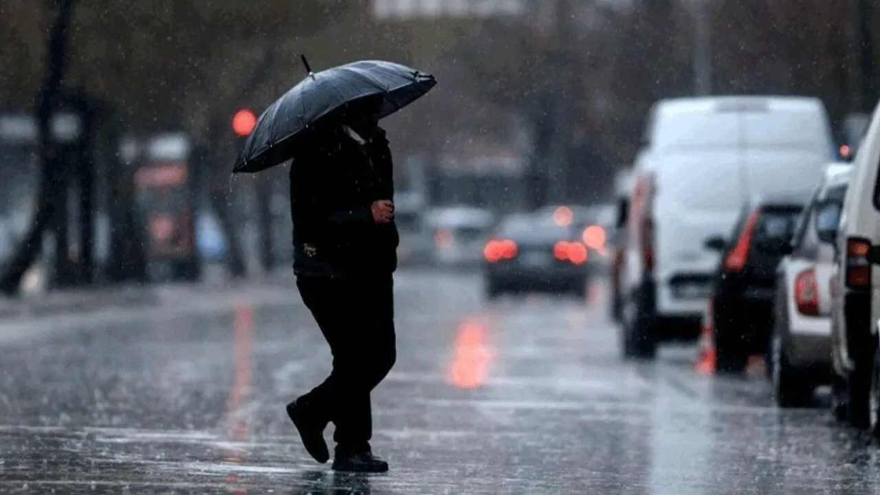 Whatsapp image 2026 02 12 at