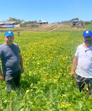 ÇİFTÇİNİN YÜZÜ GÜLDÜ (2)