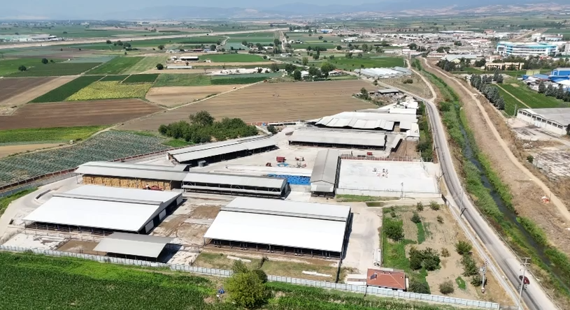 KALİTELİ ET (5)